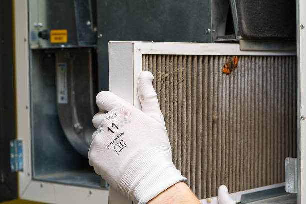 Best Affordable Duct Cleaning Services  in Willow Springs, MO