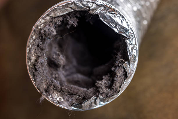 Best Air Duct Cleaning Company Near Me  in Willow Springs, MO